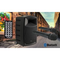 AUDIOPHONY CR12A-F5 Mobiles PA-System 120W