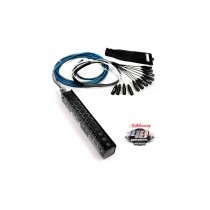 WHIRLWIND Multicore Medusa Mini-12 Serie - Low Profile 12/0/XLR