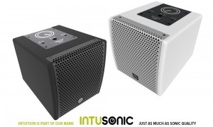 INTUSONIC IntuCab™ 4FW50T 4" Fullrange passiv Lautsprecher 20W/40W/16Ω