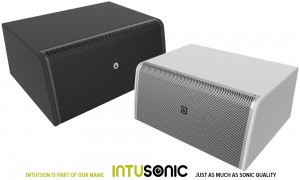 INTUSONIC IntuCab™ 8SM300T Dual 8" Stereo/Mono passiv Subwoofer 150W/300W