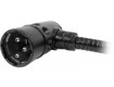 LITTLITE XR-LED Version LED 3-Pol XLR GEWINKELT/ANGLED