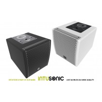 INTUSONIC IntuCab™ 4FW50T Haut-parleur passif fullrange 20W/40W/16Ω