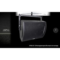 SYNQ SC-12 Enceinte passif coaxiale/neodym 400W/800W