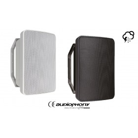AUDIOPHONY EHP660IP Enceintes HIFI/Public Adress 60W, 100V/8Ω, IP55