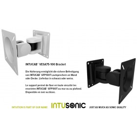 INTUSONIC IntuCab™ VESA75-100 Support mural/plafond