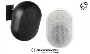 AUDIOPHONY JAVA315 Enceinte passive 2 voies 15W RMS, 16Ω, ligne 100V, IP55, par paire