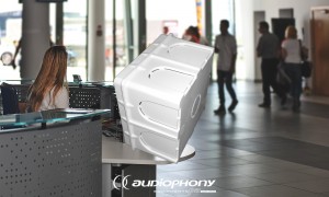 AUDIOPHONY REG-BOX