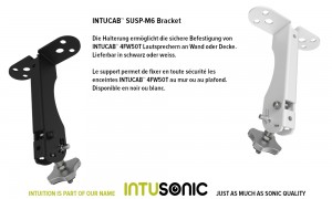 INTUSONIC IntuCab™ SUSP-M6 Support mural/plafond