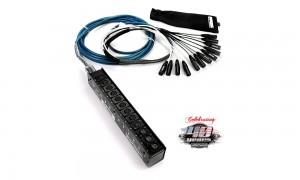 WHIRLWIND Medusa Multipaires Série Mini-12 - Low Profile 12/0/XLR